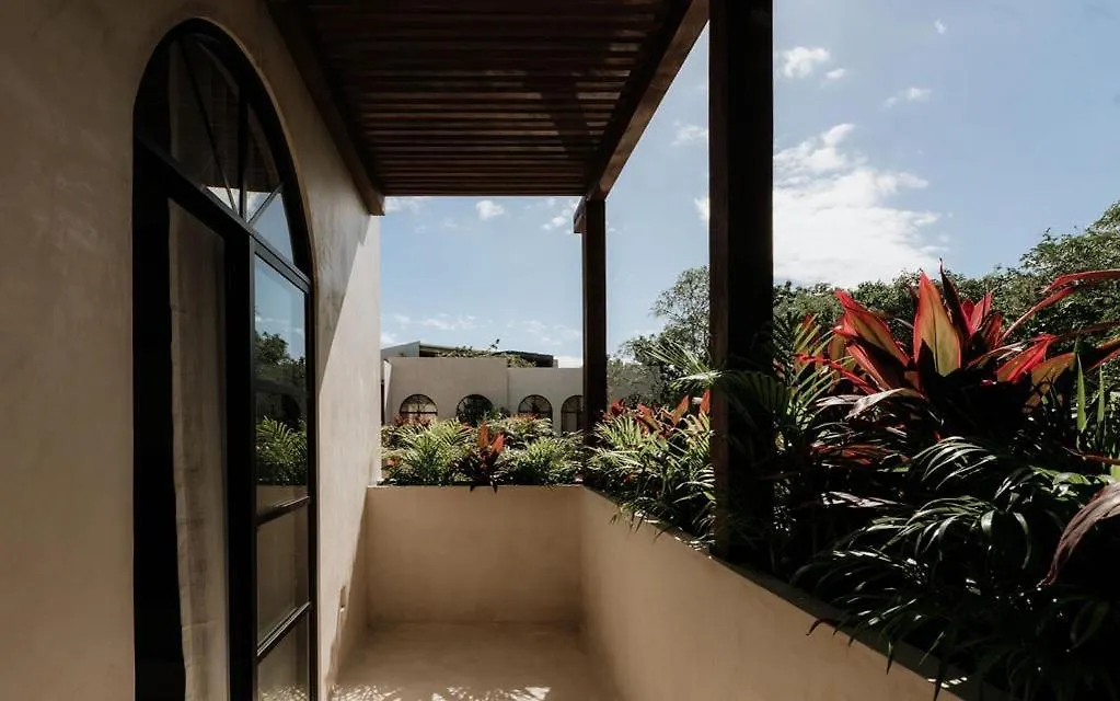 Casa Colina Stunning Pool Rooftop Bbq N Lounge Tulum